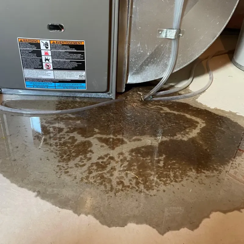 Appliance Leak Cleanup in Dewey County, SD